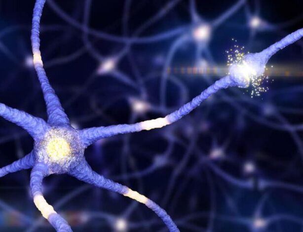 Ученые выяснили, что мозг переписывает воспоминания при каждом их воспроизведении