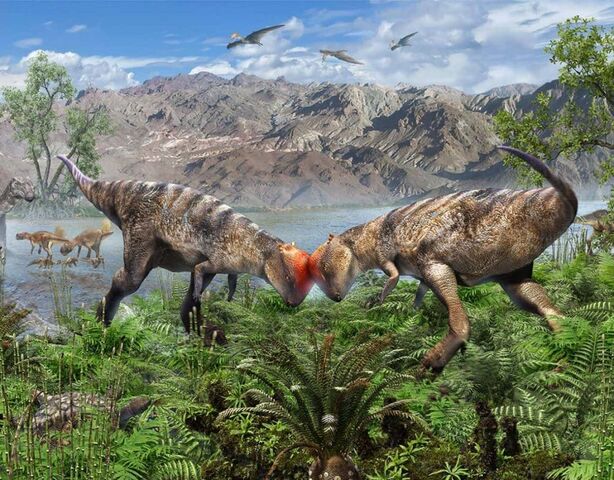 Шесть динозавров, обнаруженных в 2025 году