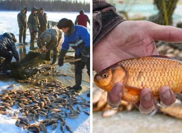 Что такое мунха у якутов, которую устраивают всей деревней: Как зимой на Крайнем Севере ловят рыбу