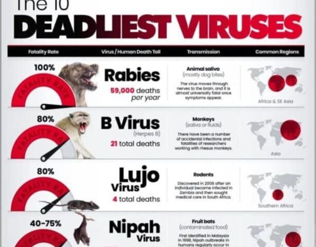 Рейтинг: 10 самых смертоносных вирусов по уровню летальности