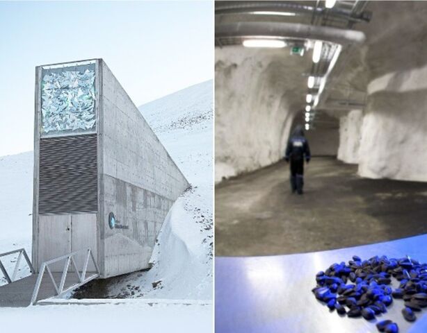 Что хранят в себе 4 самых защищённых сейфа на планете