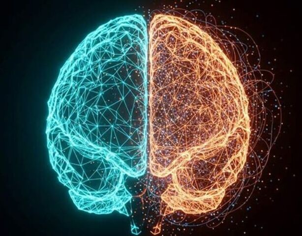 Мозг на грани хаоса: нейробиологи выяснили, как наш разум балансирует между порядком и безумием