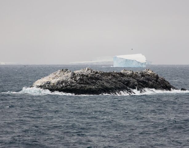 Полярная экспедиция случайно наткнулась на неизвестный остров у берегов Антарктиды