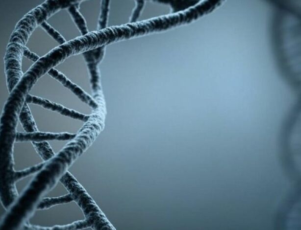 Изучение древней ДНК показало неожиданное ускорение естественного отбора у людей за последние 10 000 лет