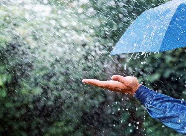 Осадки, от которых не мокнет земля и капли не в форме капель: 5 малоизвестных фактов о дожде