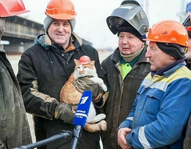 15 животных, у которых есть крутая работа