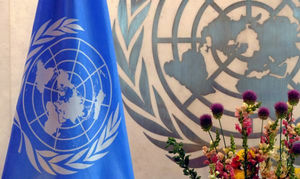 Половина стран мира потребовала ограничить права России в ООН