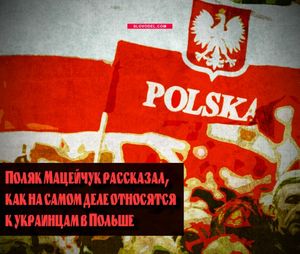 Поляк мацейчук рассказал, как на самом деле относятся к украинцам в польше