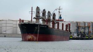 Зрада: Корабль с американским углем для Украины разрушил порт под Одессой