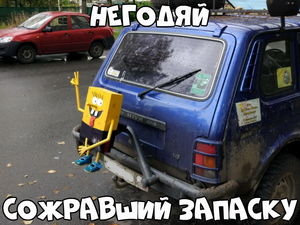 Авто абсурда