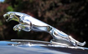 История создания эмблемы Jaguar