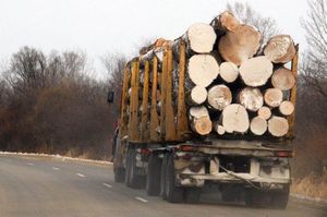 Из-за не снятия запрета на экспорт леса-кругляка ЕС отказался перечислить Украине третий транш в 600 млн евро