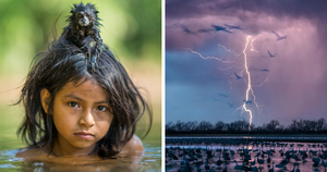 50 лучших снимков года по версии журнала National Geographic (51 фото)