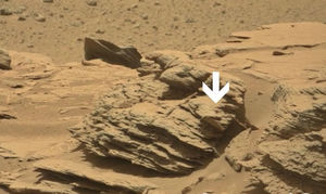 На марсианском фото от NASA высмотрели нечто, очень похожее на паука