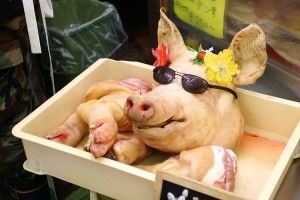 Да пошли вы - на ху... тор бабочек ловить!