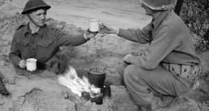 Зачем британцы во время Второй Мировой Войны выкупили весь черный чай