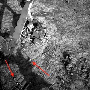 На новых фото с Марса прямо рядом с опорами марсохода видны объекты, похожие на морские раковины