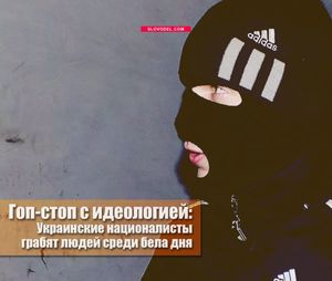 Гоп-стоп с идеологией: украинские националисты грабят людей среди бела дня