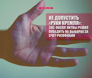 Не допустить «руки кремля»: экс-посол литвы решил победить на выборах за счет русофобии