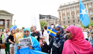 «Толерантная Европа» не справляется: шведы готовы создать новое государство.