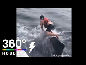 Рыбак прыгнул на кита с ножом в зубах и спас ему жизнь