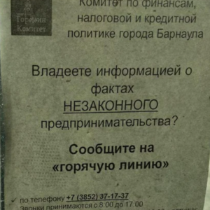 Сдай соседа: власти развешивают листовки с просьбой сообщать о самозанятых людях.