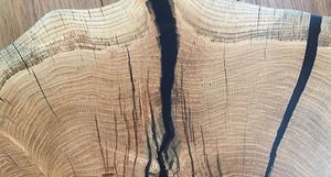 Парадокс мореной древесины: почему она не гниет в воде и может пролежать 500 лет