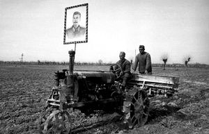 Кто на самом деле устроил в СССР голод 30-х годов?