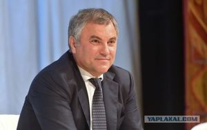 Вячеслав Володин пообещал отказаться от пенсионной надбавки