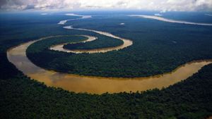 Невероятные факты про Амазонку