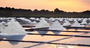 Технология, которой уже 1000 лет: как во Франции добывают самую дорогую соль в мире