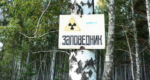 Радиоактивный заповедник на Урале: почему туристы сюда попадут не скоро