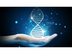 Ученый: технология изменения ДНК людей "выпущена, как джинн из бутылки"