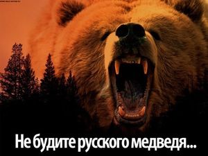 «Они никогда не увидят всей нашей мощи, не надо злить русского медведя»: Запад испугался войны с Россией