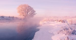 11 волшебных фотографий зимы от белорусского фотографа