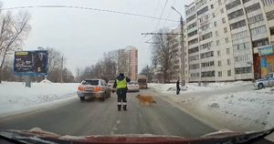 Минута доброты: в Челябинске инспектор ГИБДД перевел хромую собачку через дорогу