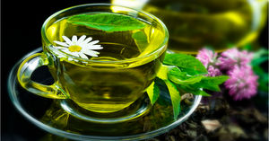 Зеленый чай: Чем полезен для здоровья, какие недуги можно устранить, польза и вред