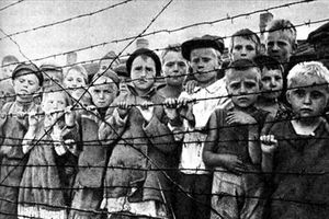 Тайна Красного Берега. Как нацисты забирали кровь у советских детей