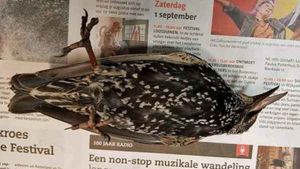 Сотни птиц погибли во время запуска 5G интернета в Нидерландах.