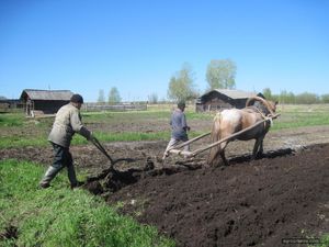 Приговор плугу объявили сторонники экологического земледелия