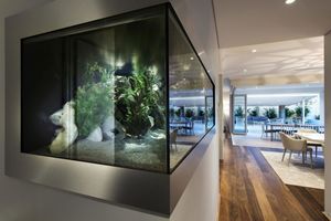 Оформление аквариума: фото-обзор, стильных решений дизайна (80 фотографий)