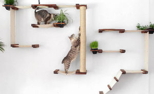 Сладкая кошачья жизнь: настенные системы для активных кошек