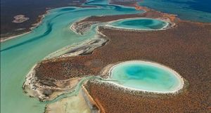 Бирридас: уникальные гипсовые озера Австралии, куда летят на зимовку птицы из Сибири