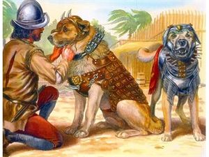 Бесерильо, пес конкистадоров, который пал в бою с индейцами