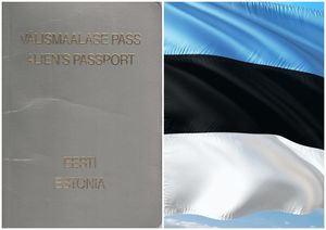 Власти Эстонии не дают гражданство отработавшему 62 года в стране жителю Таллина