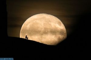 Гипотеза о влиянии фаз Луны на психическое состояние людей не нашла подтверждения