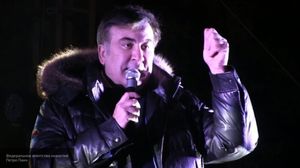 Вассерман заявил, что Зеленский ничего не решает в вопросе возвращения Саакашвили.