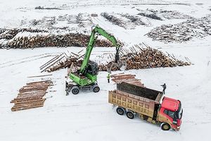 Масштабы воровства огромны: Отчет о хищениях леса в Красноярском крае породил грандиозный скандал