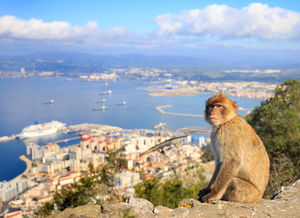 Малага и гибралтар: один день, две страны