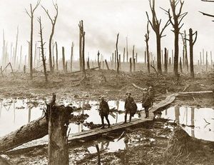 «Загадка Кельтского леса»: куда исчезли бойцы «Грозного батальона» на Первой Мировой